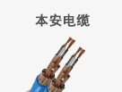 本安電纜